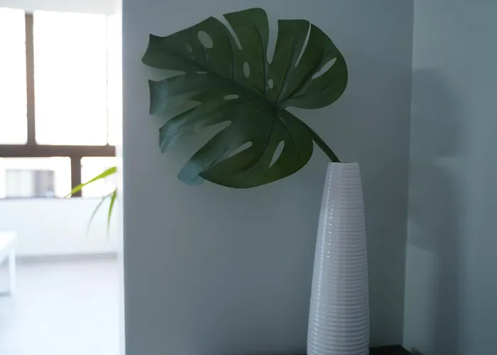 Ocean View First Sea Line *